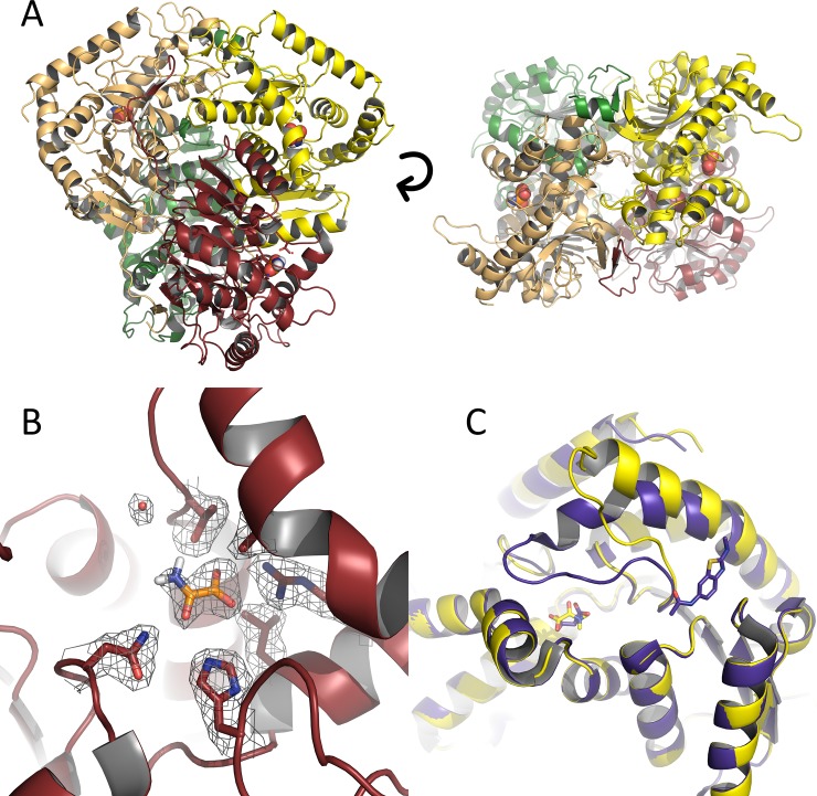 Fig 2