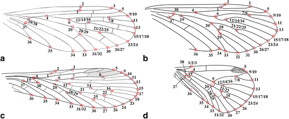 Fig. 2