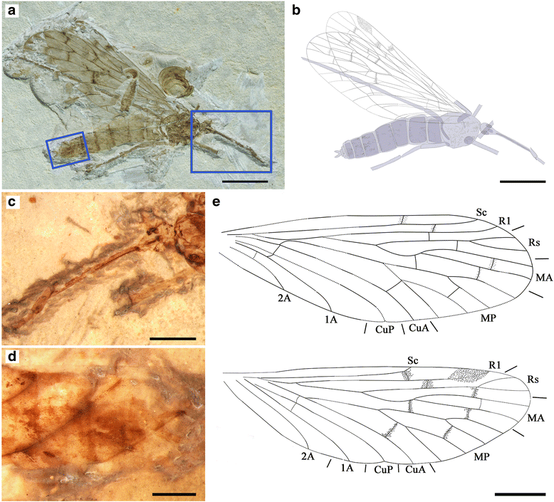 Fig. 10
