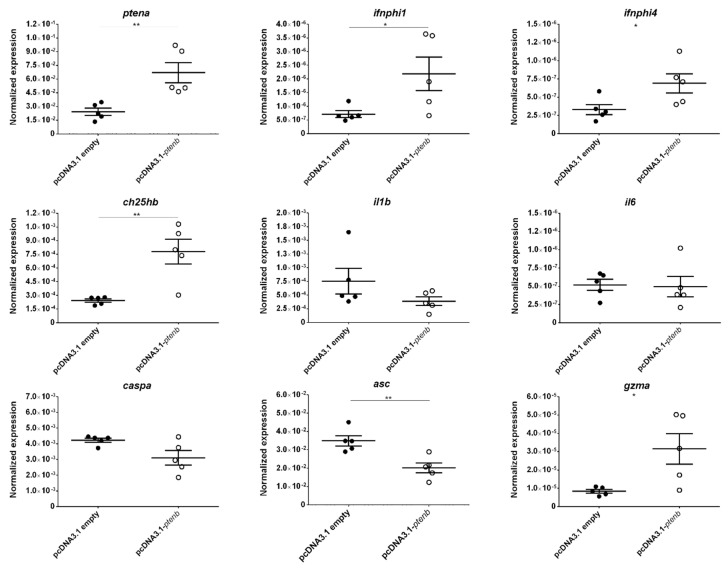 Figure 10