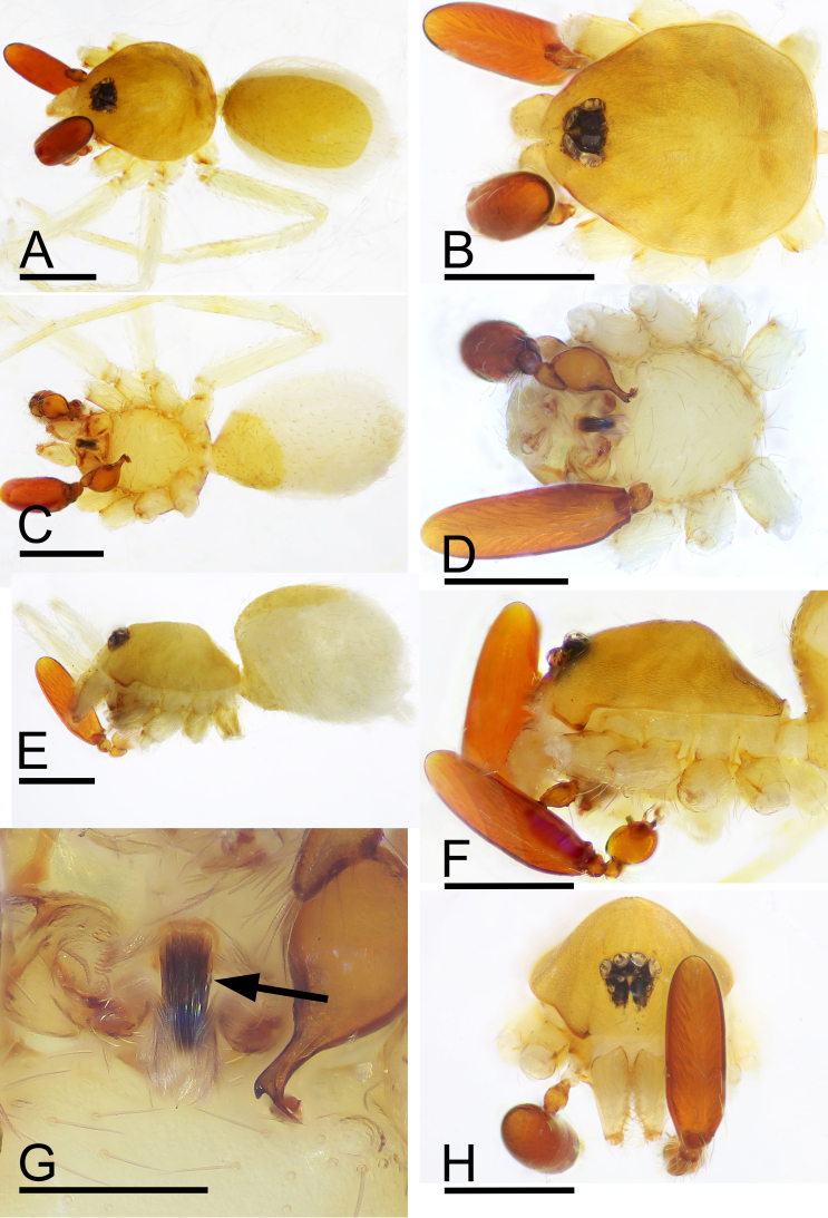 Figure 2.