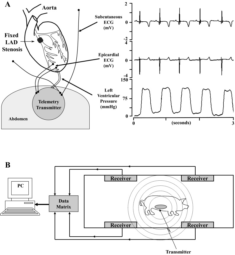 Fig. 1.