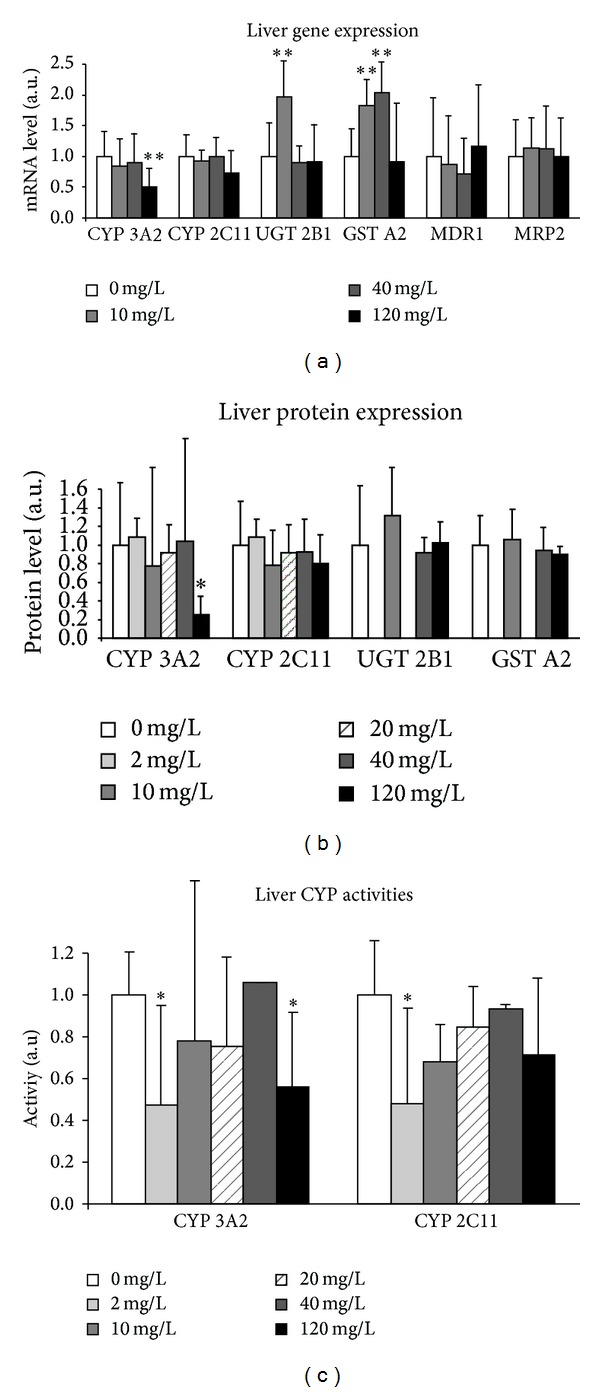 Figure 7