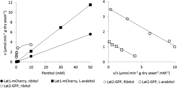 FIG 5