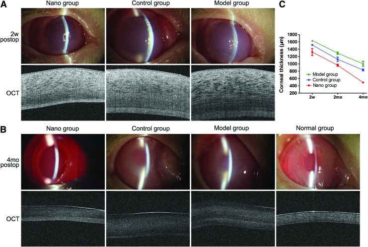 FIG. 7.