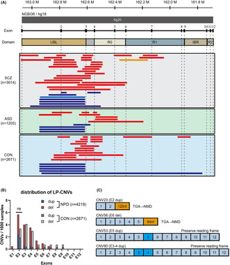 graphic file with name NPR2-44-42-g003.jpg