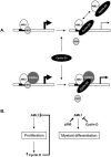 FIG. 10.