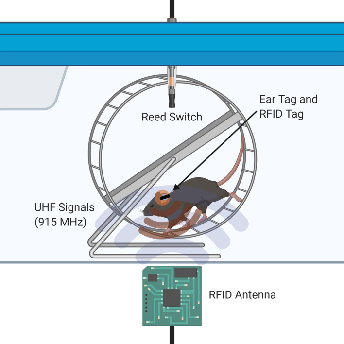 Figure 1.