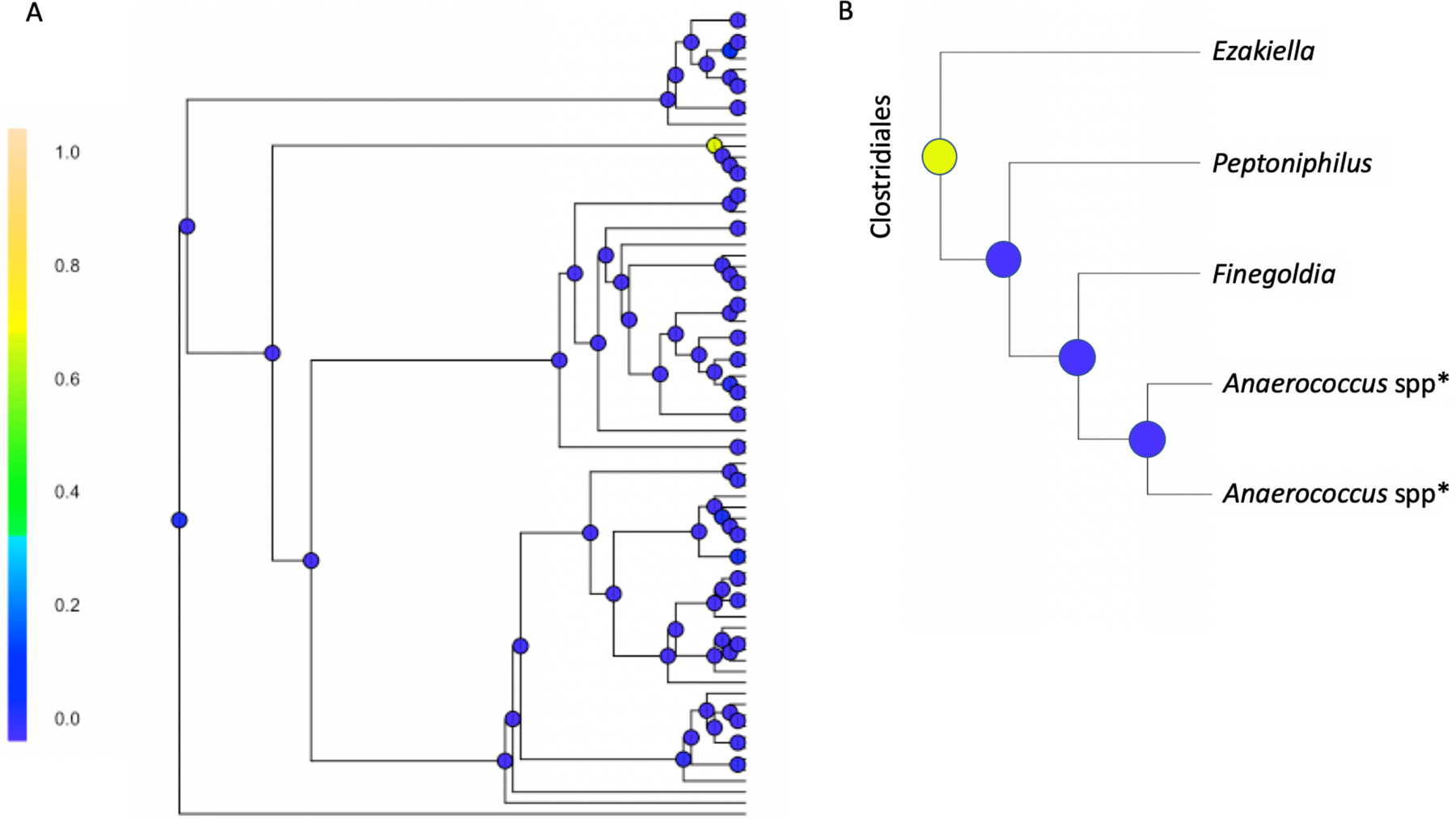 Figure 5: