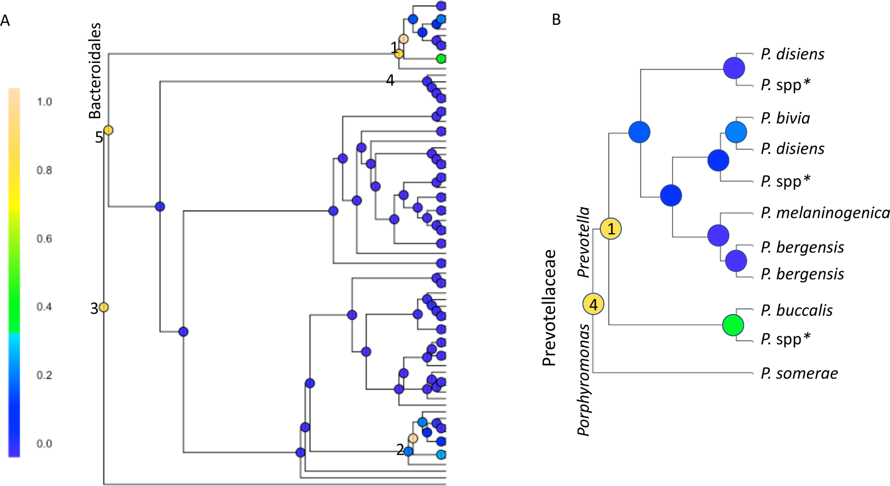 Figure 4: