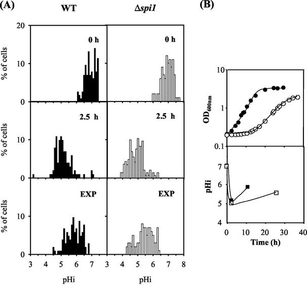 FIG. 8.