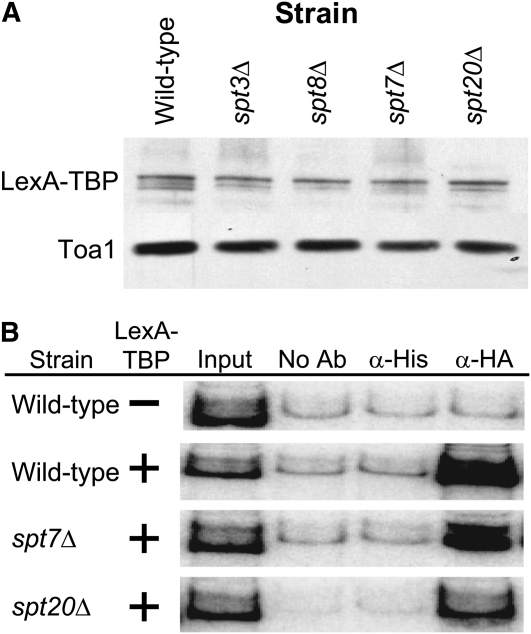 Figure 3.—