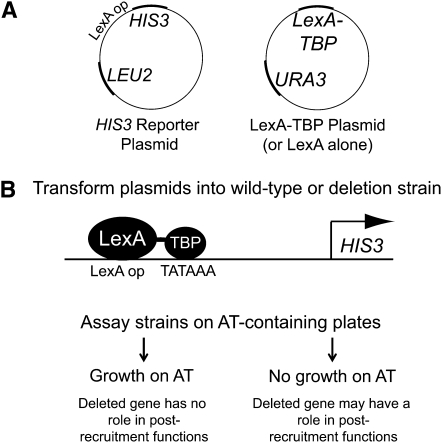 Figure 1.—