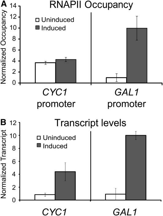 Figure 4.—