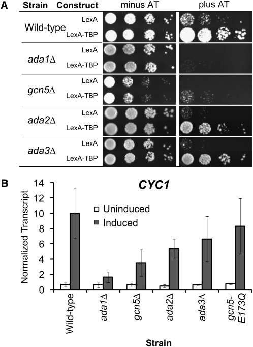 Figure 6.—