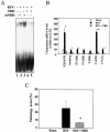 FIG. 8.