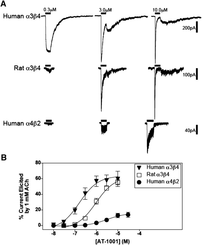 Fig. 5.