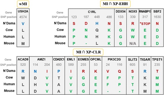 Fig. 7