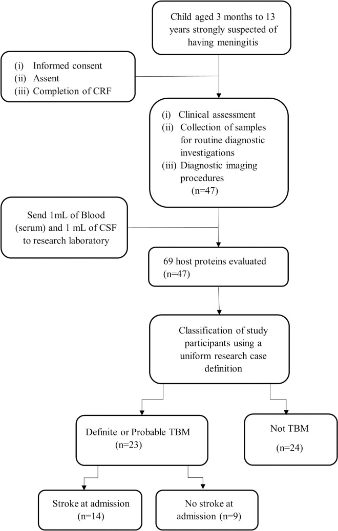 Fig 1