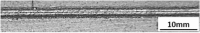 graphic file with name 41598_2025_19863_Fige_HTML.gif