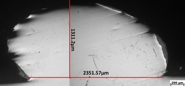 Fig. 10