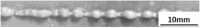 graphic file with name 41598_2025_19863_Figg_HTML.gif
