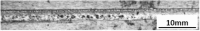 graphic file with name 41598_2025_19863_Figf_HTML.gif