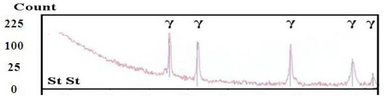 Fig. 13