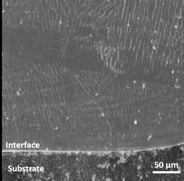 Fig. 12