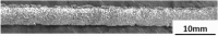 graphic file with name 41598_2025_19863_Figd_HTML.gif