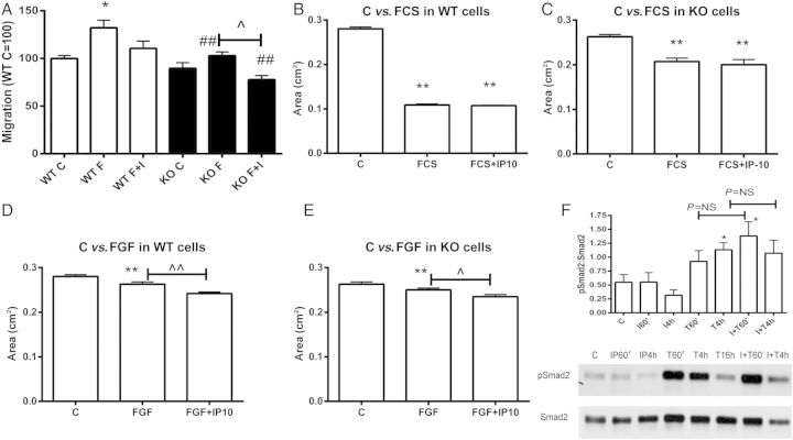 Figure 6