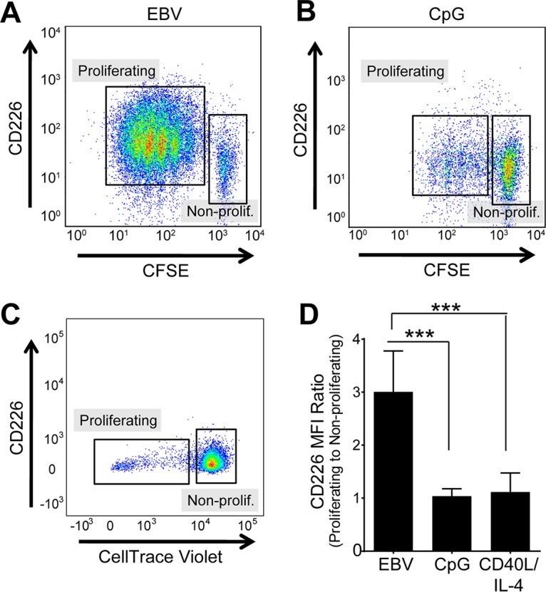 FIG 2 