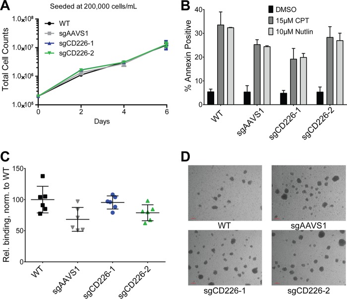 FIG 6 