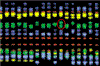Fig. 4.