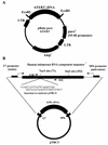 FIG. 1