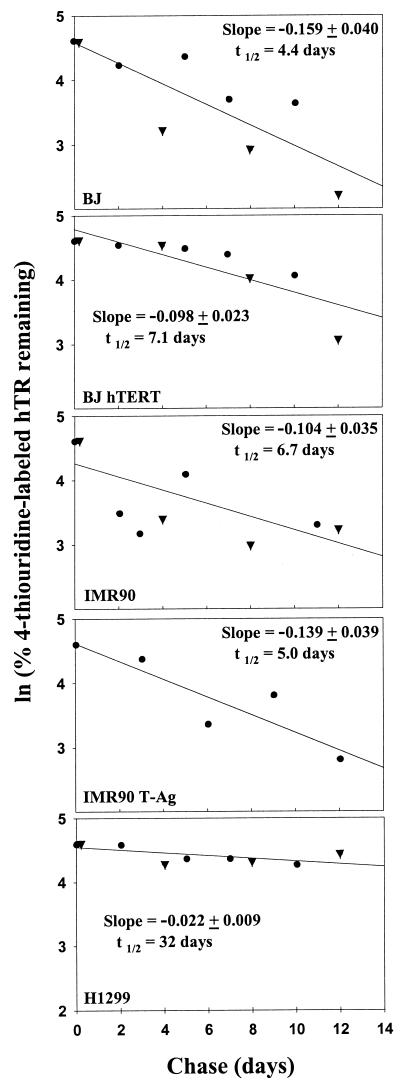 FIG. 5