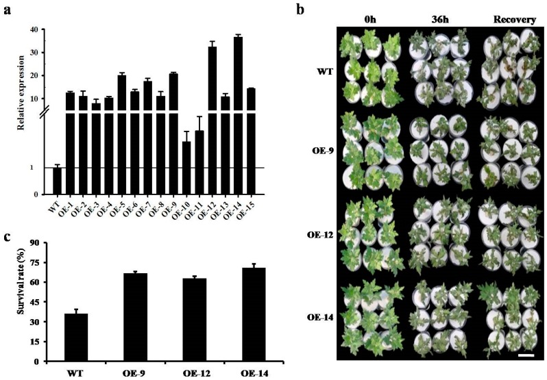 Figure 4