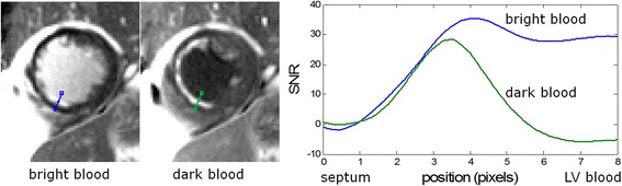 Fig. 10