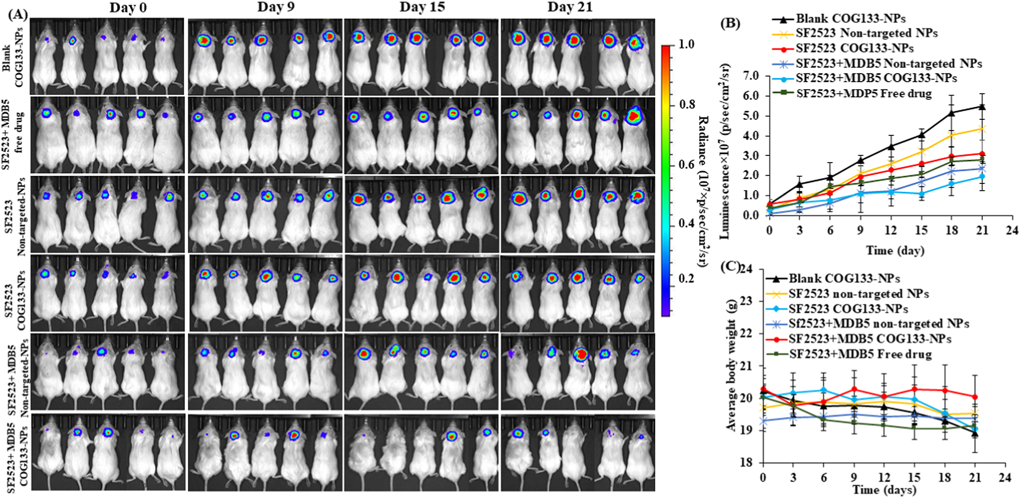 Figure 6.