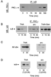 FIG. 8