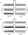 FIG. 7