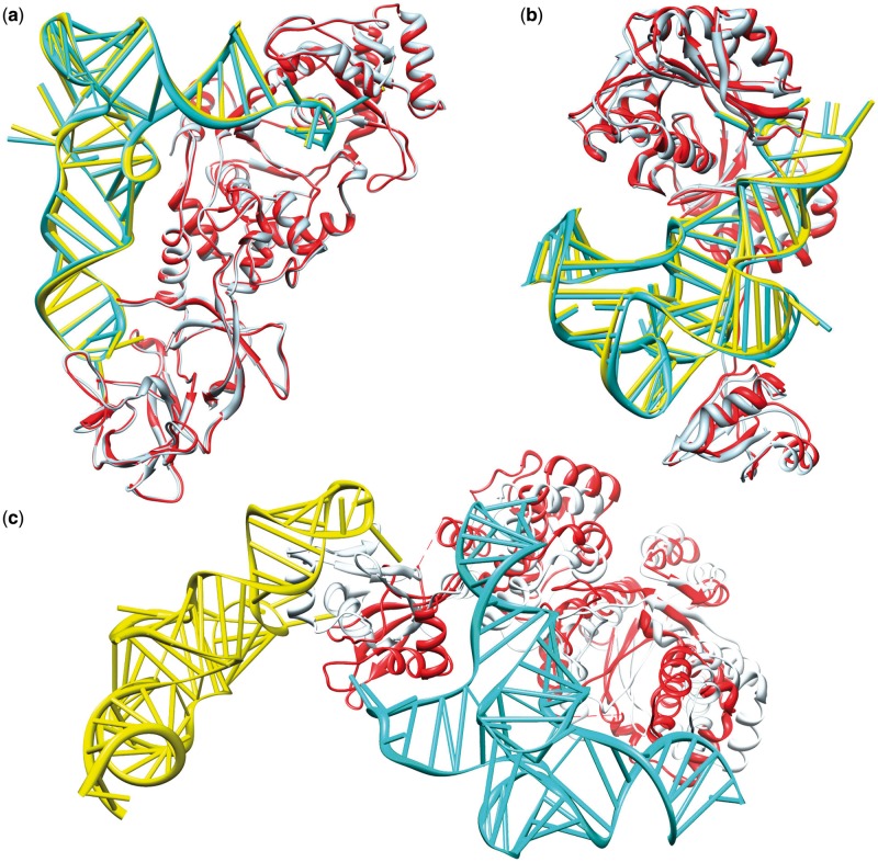 Figure 5.