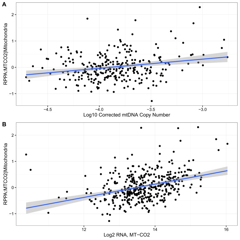 Figure 4—figure supplement 2.