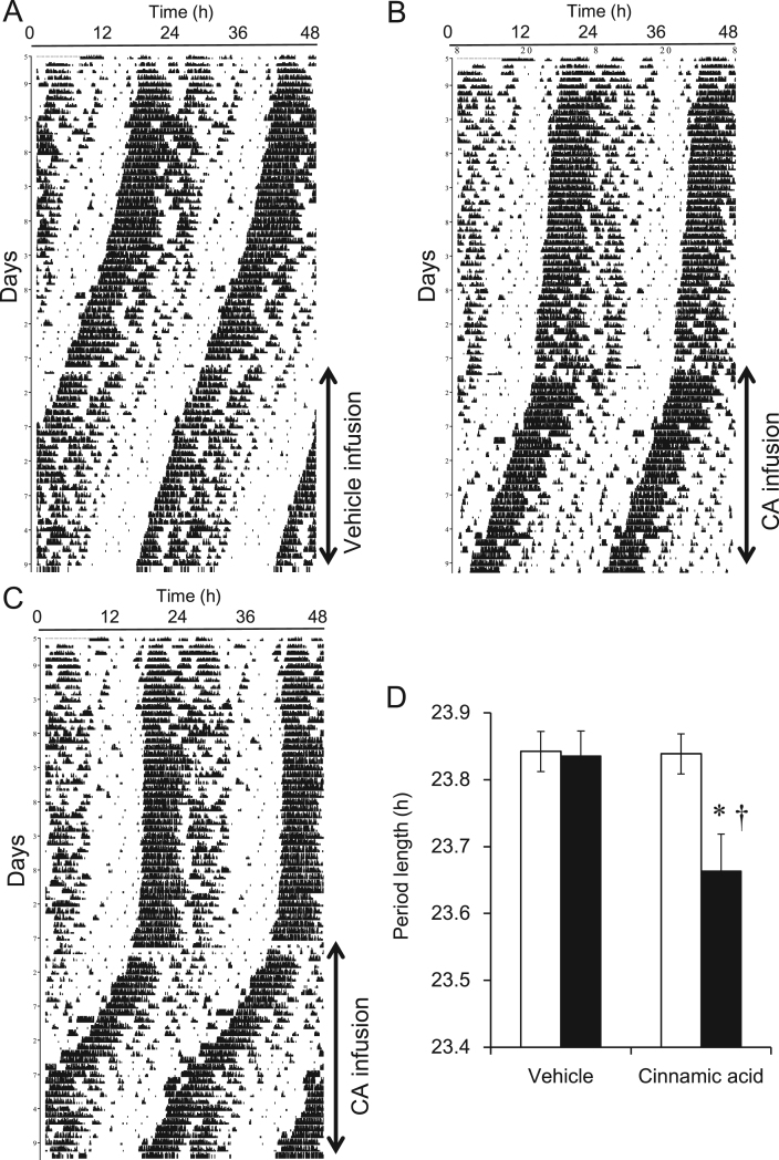 Fig. 5