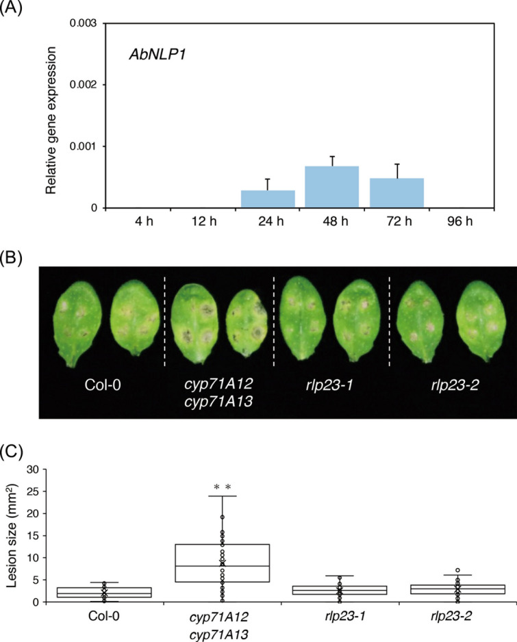 Figure 6