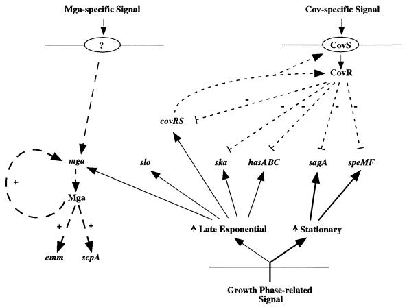 FIG. 6