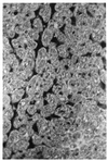 FIG. 9