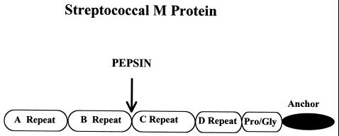 FIG. 5