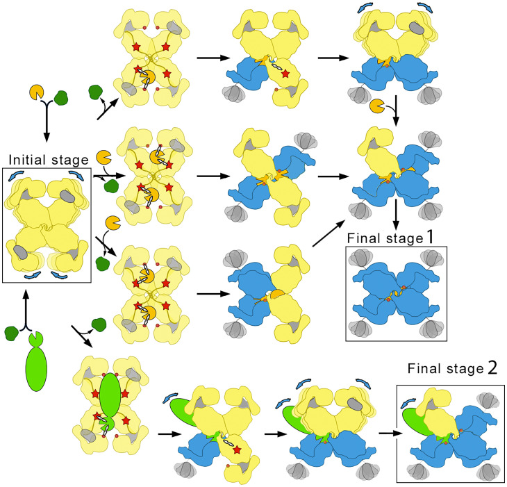 Fig. 7.