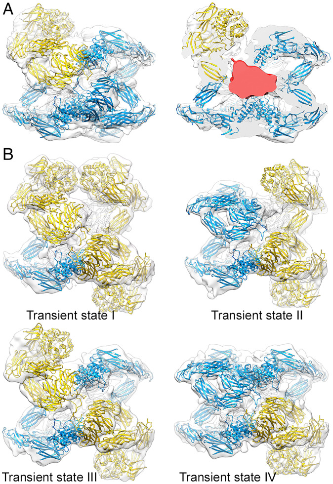 Fig. 6.